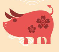 Kỷ Hợi 2019